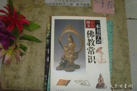 佛教日常知识大全书籍（佛教日常知识大全书籍图片）