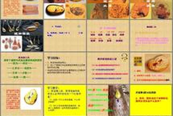 琥珀故事详细介绍 琥珀故事的详细情形是指什么