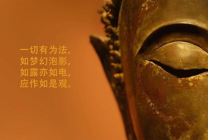 佛学感悟一分钟视频（佛教感悟人生经典语录视频）