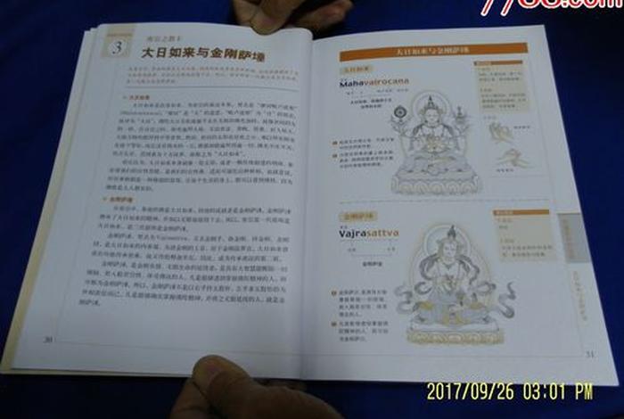 藏式佛教基本知识书 藏传佛教基础知识书