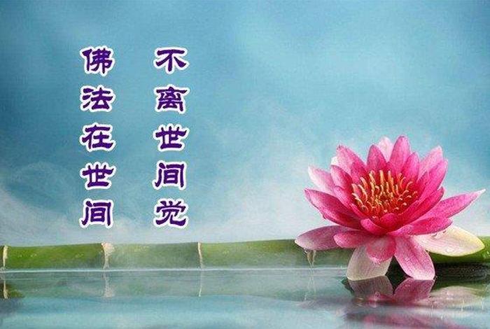 佛教好学吗（学佛难不难）