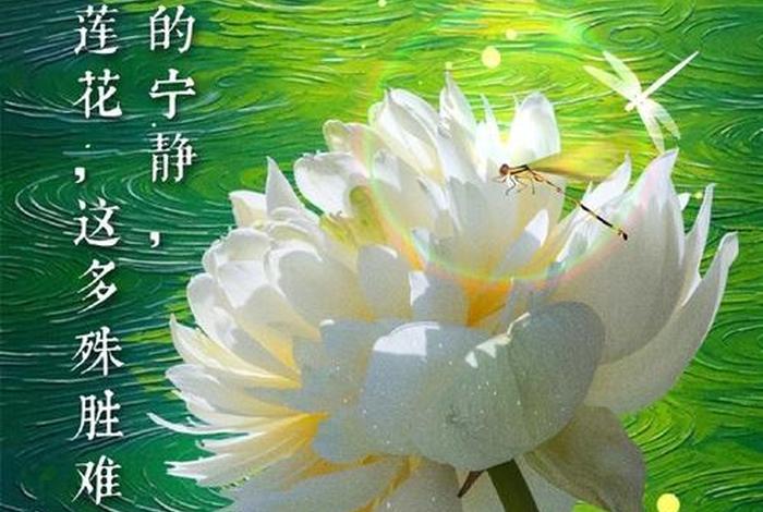 佛教弟子对师父；佛教弟子对师父的除夕祝福语