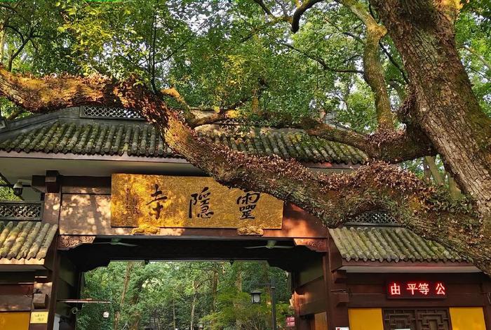 灵隐寺佛寺视频 灵隐寺视频介绍