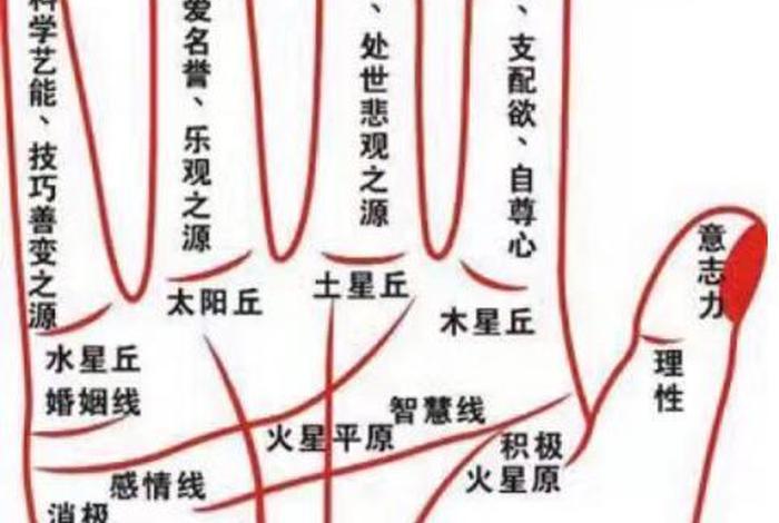 佛教知识十力 五根五力是什么；五根五力讲解释