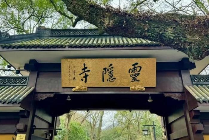 佛教丛林基础知识讲解、佛教丛林基础知识讲解视频