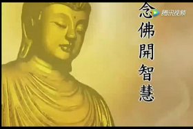 佛教智慧讲堂30分钟；佛教智慧故事动画视频