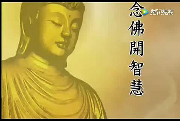 佛教智慧讲堂30分钟；佛教智慧故事动画视频