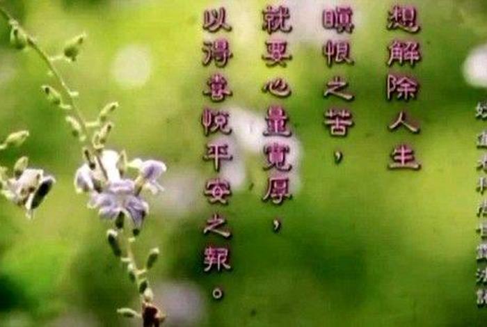佛教教育短片佛法概要视频、佛教教育短片视频100集