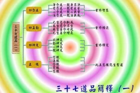 佛教的19个基本知识点；佛教的19个基本知识点总结