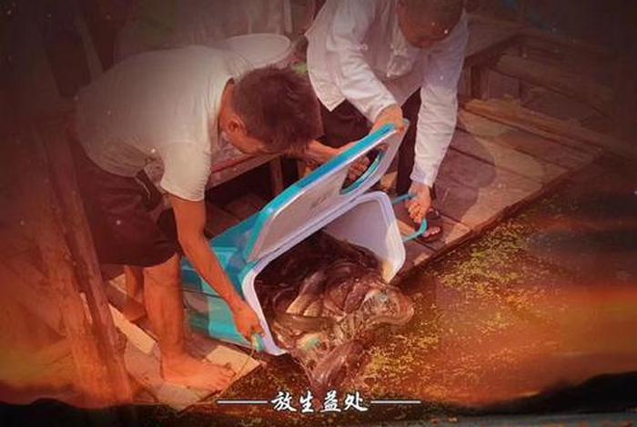 放生的十六种功德利益，放生的十六大好处