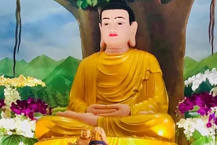 美国佛教入门知识大全视频播放；美国 佛教