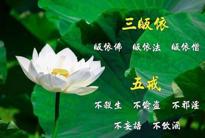 佛家说的六波罗蜜、佛家说的六波罗蜜是啥意思