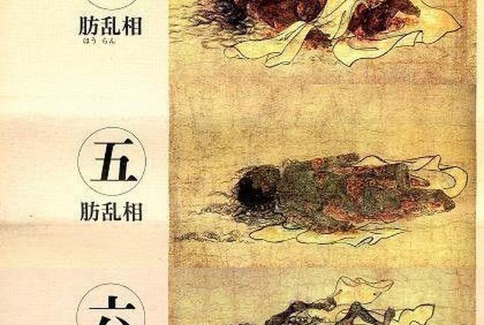 佛教不净观说法；佛学不净观