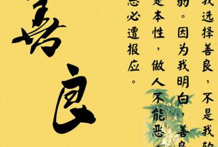 善良是什么价值观（善良是一种什么样的品质）