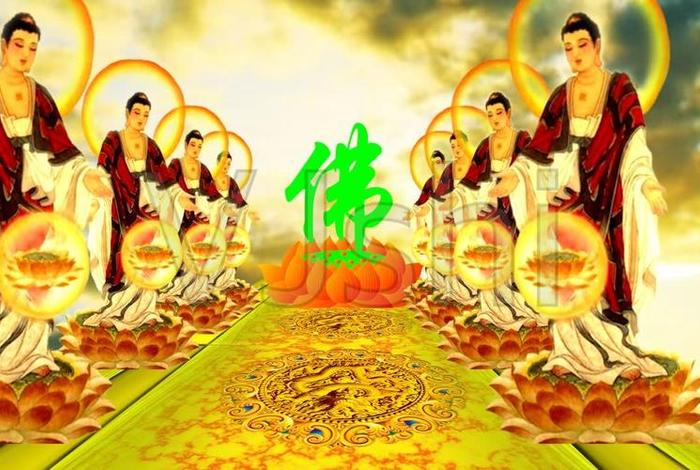 关于佛教的小视频 关于佛教的小视频短片