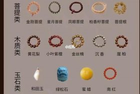 四大菩提对应四大菩萨 四大菩提子是什么