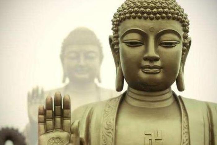遇见佛法也是命中注定吗？；遇到佛法是命中注定吗？