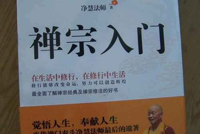 学点禅道、禅道入门
