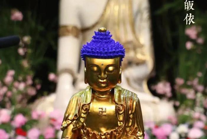 抖音讲佛法的师父、抖音讲佛法的师父叫什么
