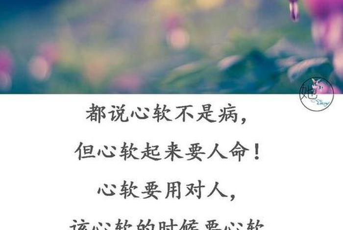 心太软心太善，太心软太善良