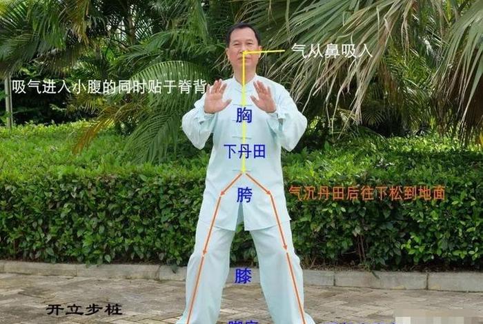 佛教站桩的正确视频教程（站桩 禅修）