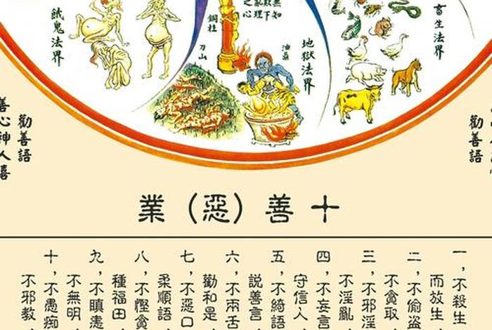 佛教果报真实故事视频；佛说果报的原因