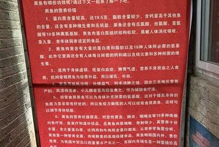 佛教关于鱼的哲学知识点（鱼有佛性的感悟）