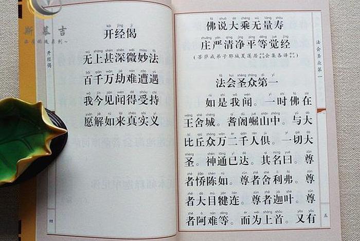 无量寿经讲的什么内容、无量寿经内容介绍