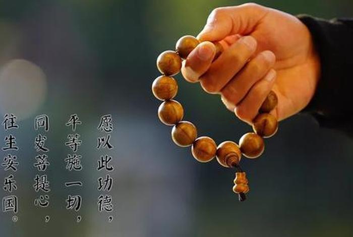佛教终极真理无我；佛教无我与真我