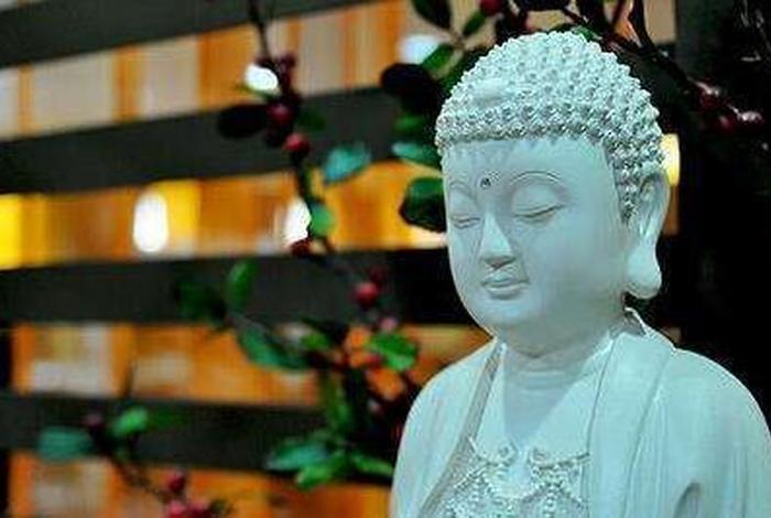 讲解佛教知识会不会被限流、佛教的危害超过传销