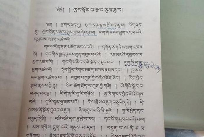 高中知识藏文（高中藏文知识宝库）