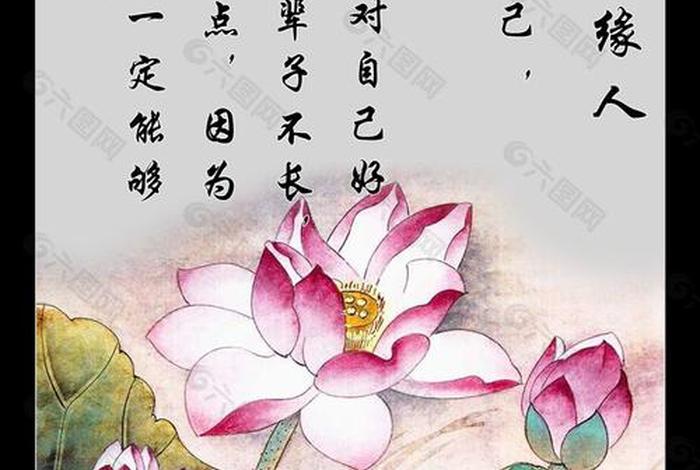 佛教渡人知识大全集视频 - 佛学渡人经典名句