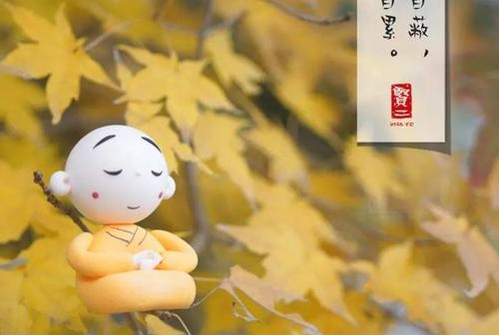 佛教欲望的解读，佛教欲望的解读和感悟