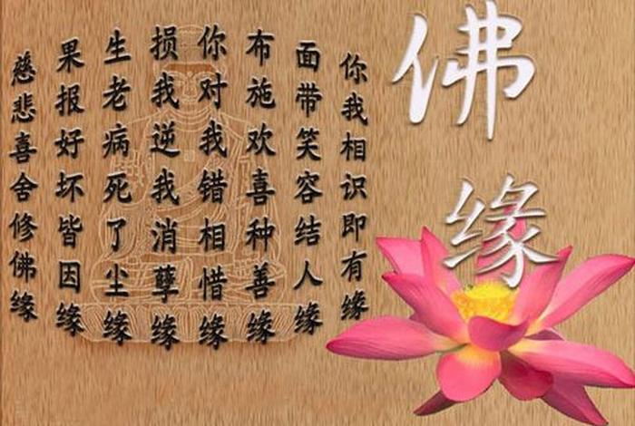 佛教故事的好词好句 20个佛教经典故事