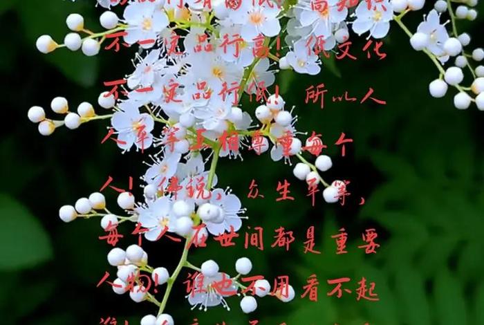 佛教 善良 佛教善良禅语