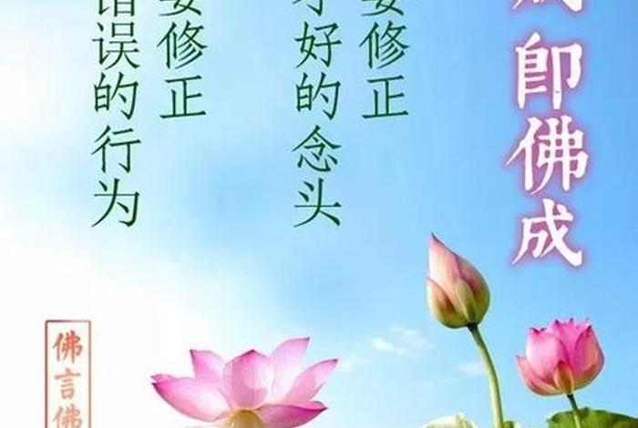 每天一句佛学经典语录、每日佛语句子