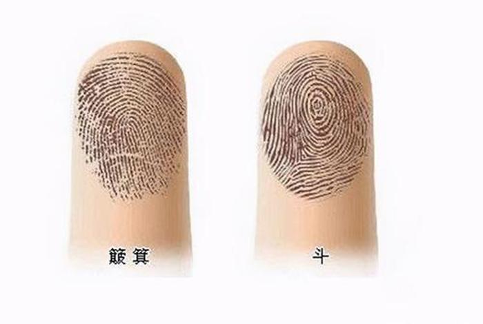 佛教手指斗和簸箕，手指斗和簸箕 手相