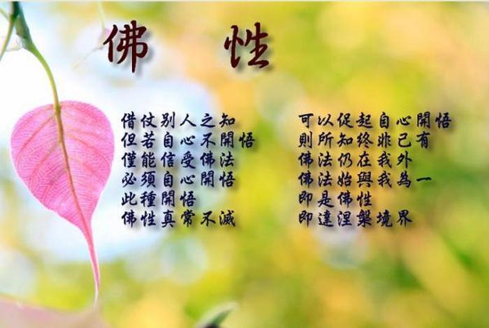 佛教的二慧是什么意思 - 二惠是什么意思