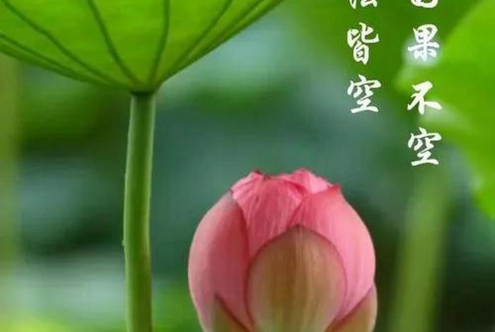 佛教感恩师父怎么说话 感恩佛教师父的偈语
