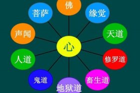 佛教理论（佛教理论核心）