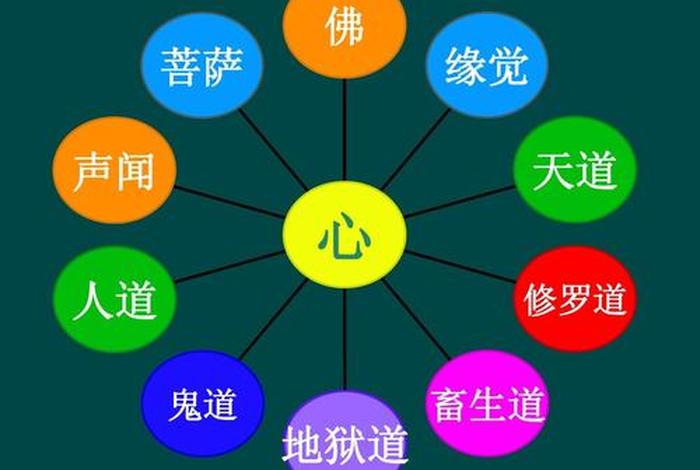 佛教理论（佛教理论核心）