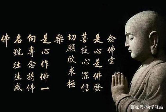 念佛人学世间知识、念佛是人生最高的境界