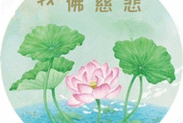 感恩佛学，感恩佛学引导我的师父