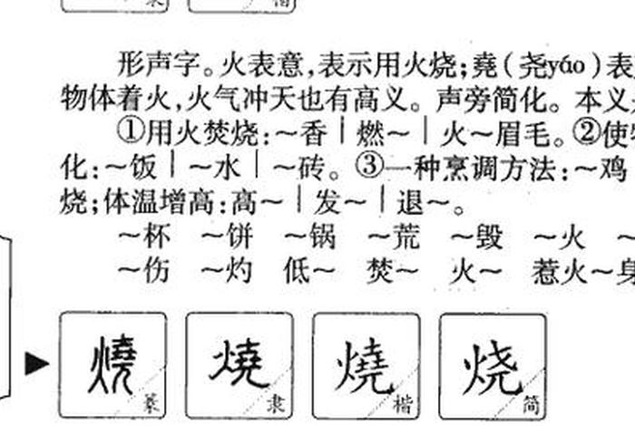烧是什么意思啊，烧是什么意思呢