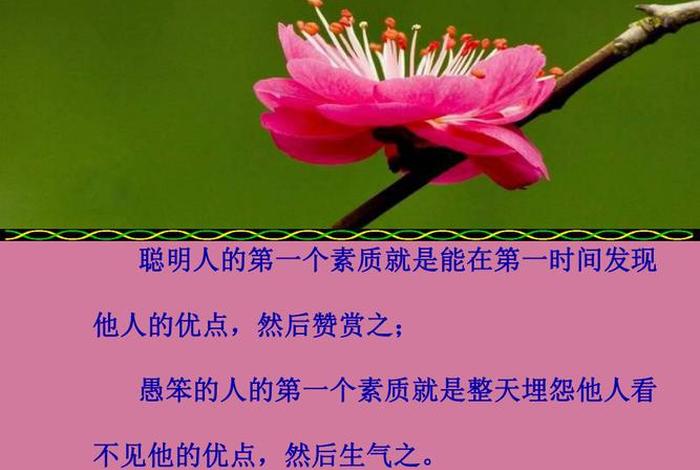 佛教聪明与愚笨的原因；佛教愚蠢