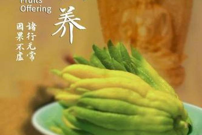 念佛前放一杯水功德、念佛前需要做些什么