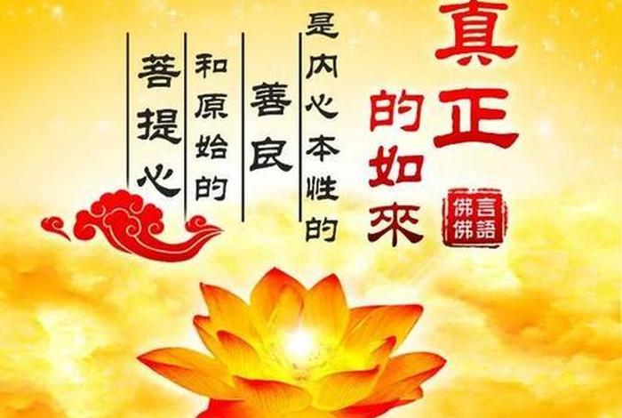 佛教关于善 - 佛教关于善良的经文