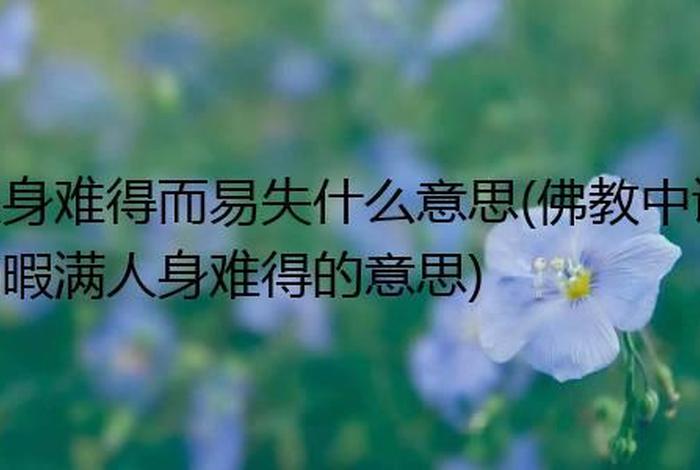 佛教没有灵魂之说，佛教中人有灵魂吗