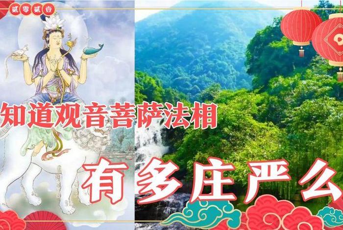 西瓜视频佛教，佛教视频在线观看