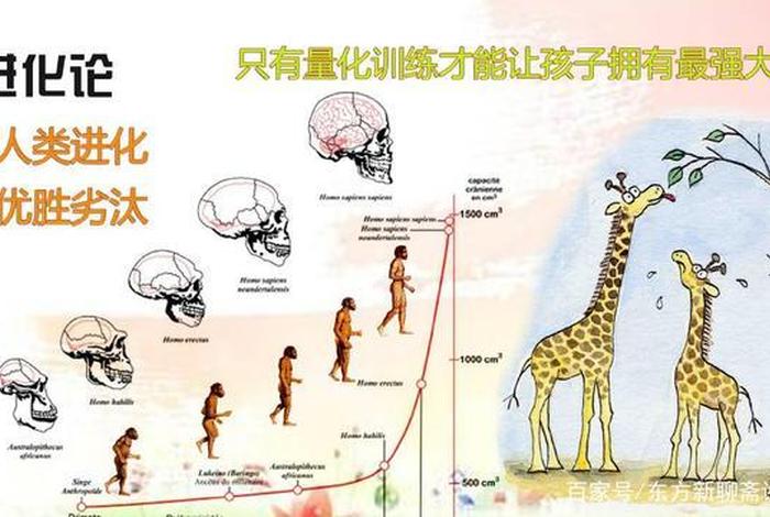 佛教物种起源说总结，佛教 物质